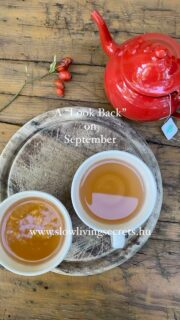 Szeptember hónap slow pillanatai képekben. Találkozzunk a blogon! #slowlivingsecrets #slowseptember #lookback #slowpillanatok #slowlife #életmódblog #életmódblogger #lifestyleblogger #lifestyleblogger